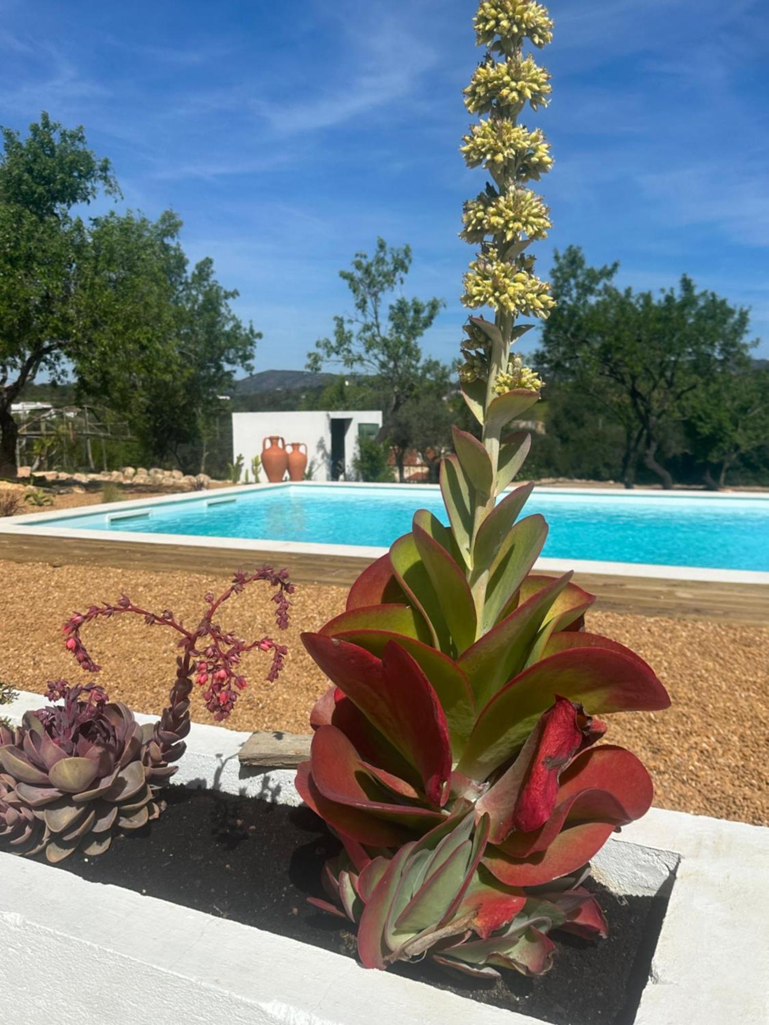 فيلا La Quinta Da Liberdade - Ferme De Charme En Algarve Pechão المظهر الخارجي الصورة