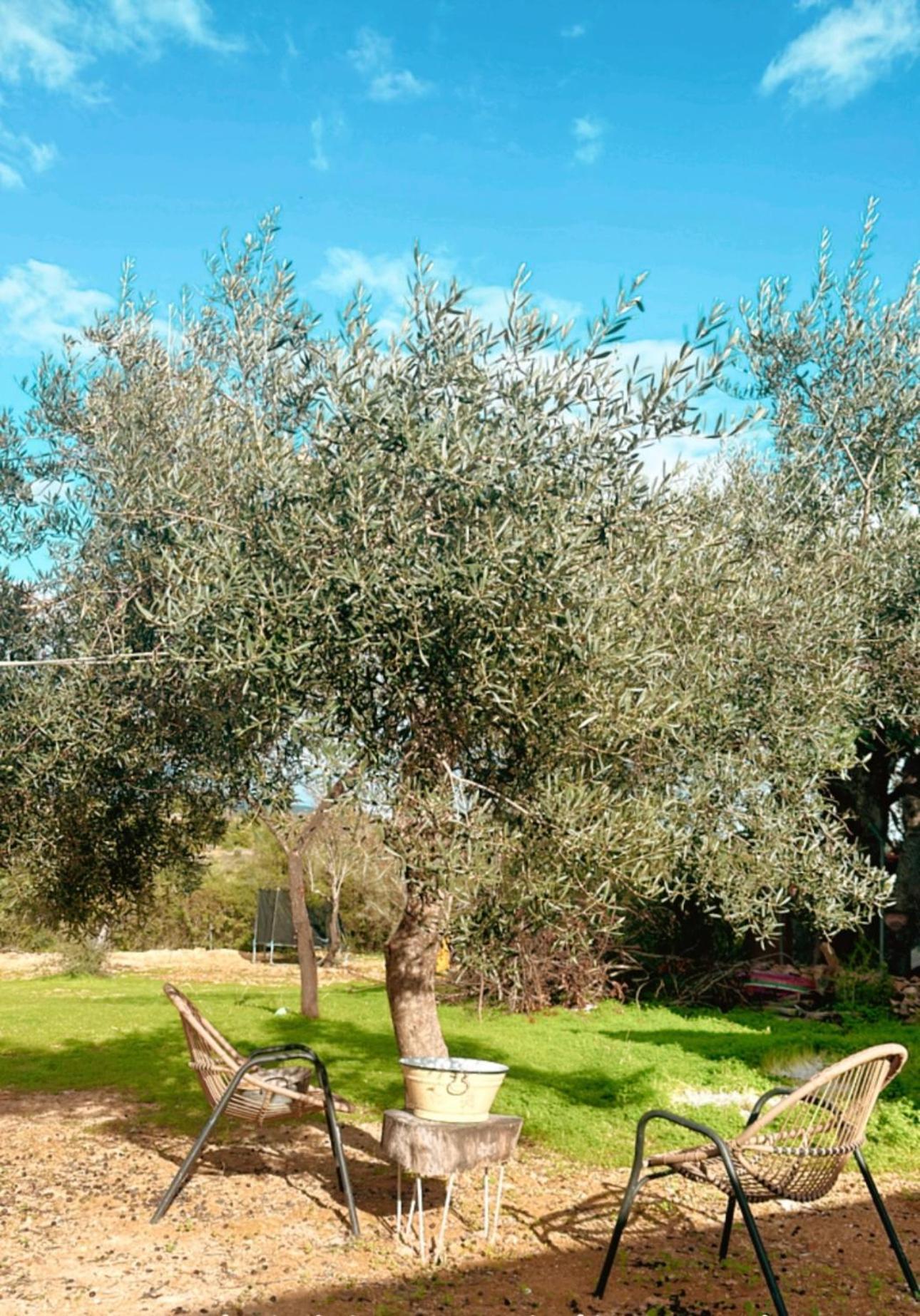 فيلا La Quinta Da Liberdade - Ferme De Charme En Algarve Pechão المظهر الخارجي الصورة