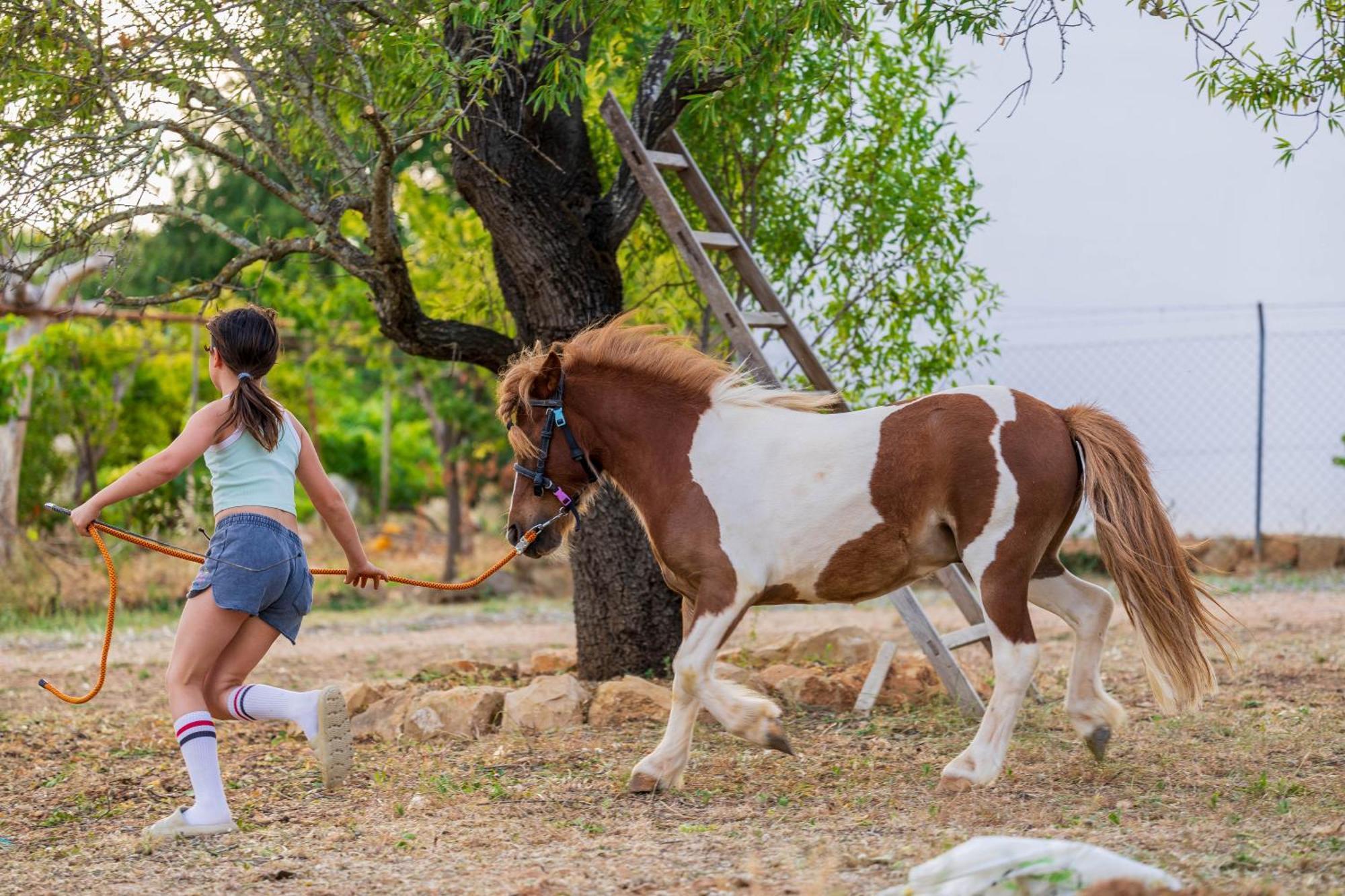 فيلا La Quinta Da Liberdade - Ferme De Charme En Algarve Pechão المظهر الخارجي الصورة